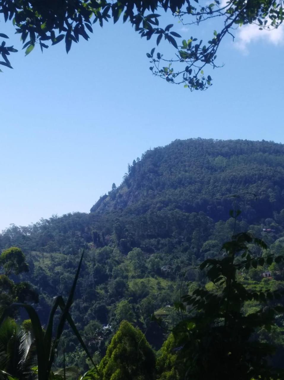 Himansa Homestay Ella Esterno foto