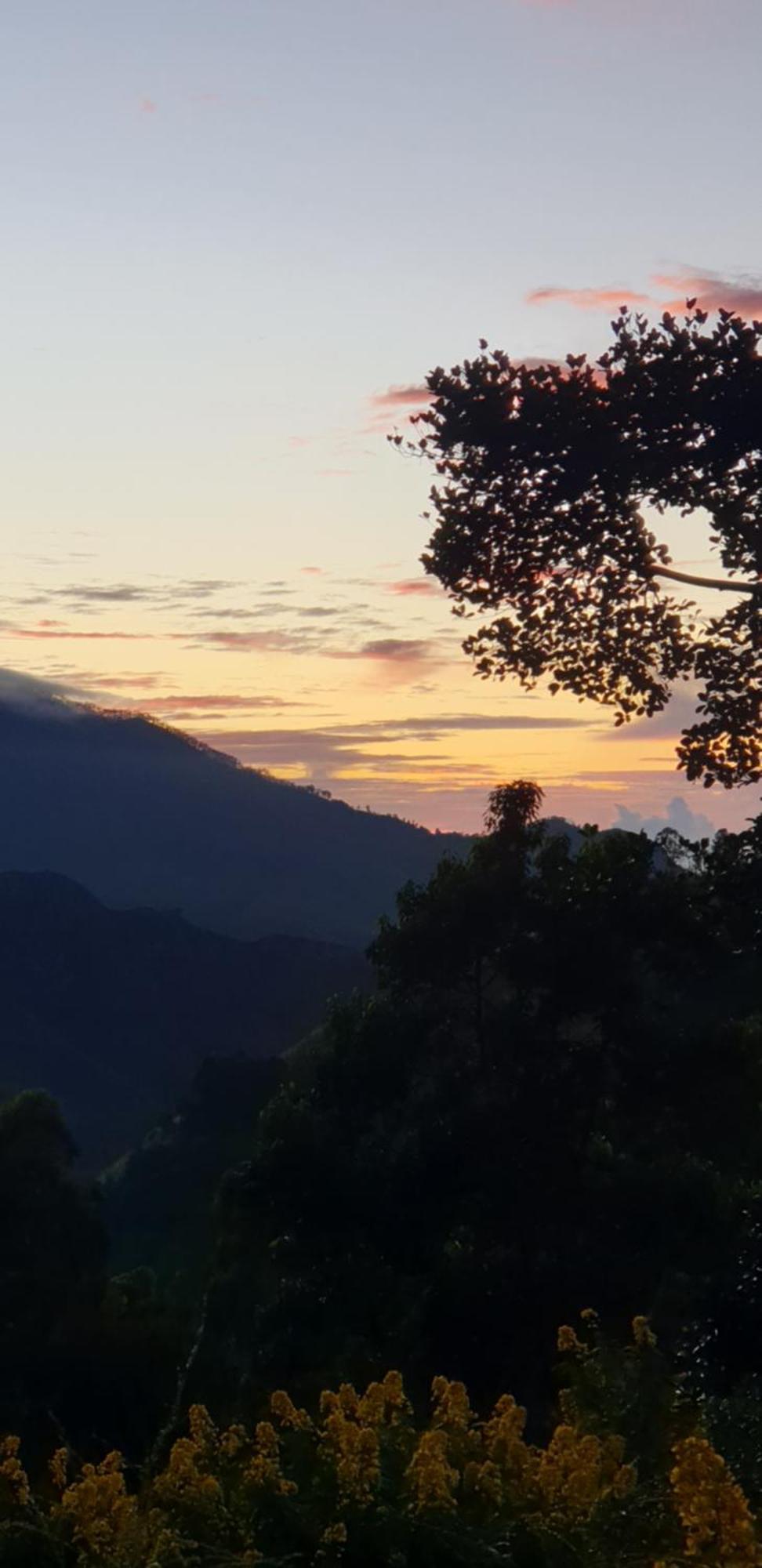 Himansa Homestay Ella Esterno foto