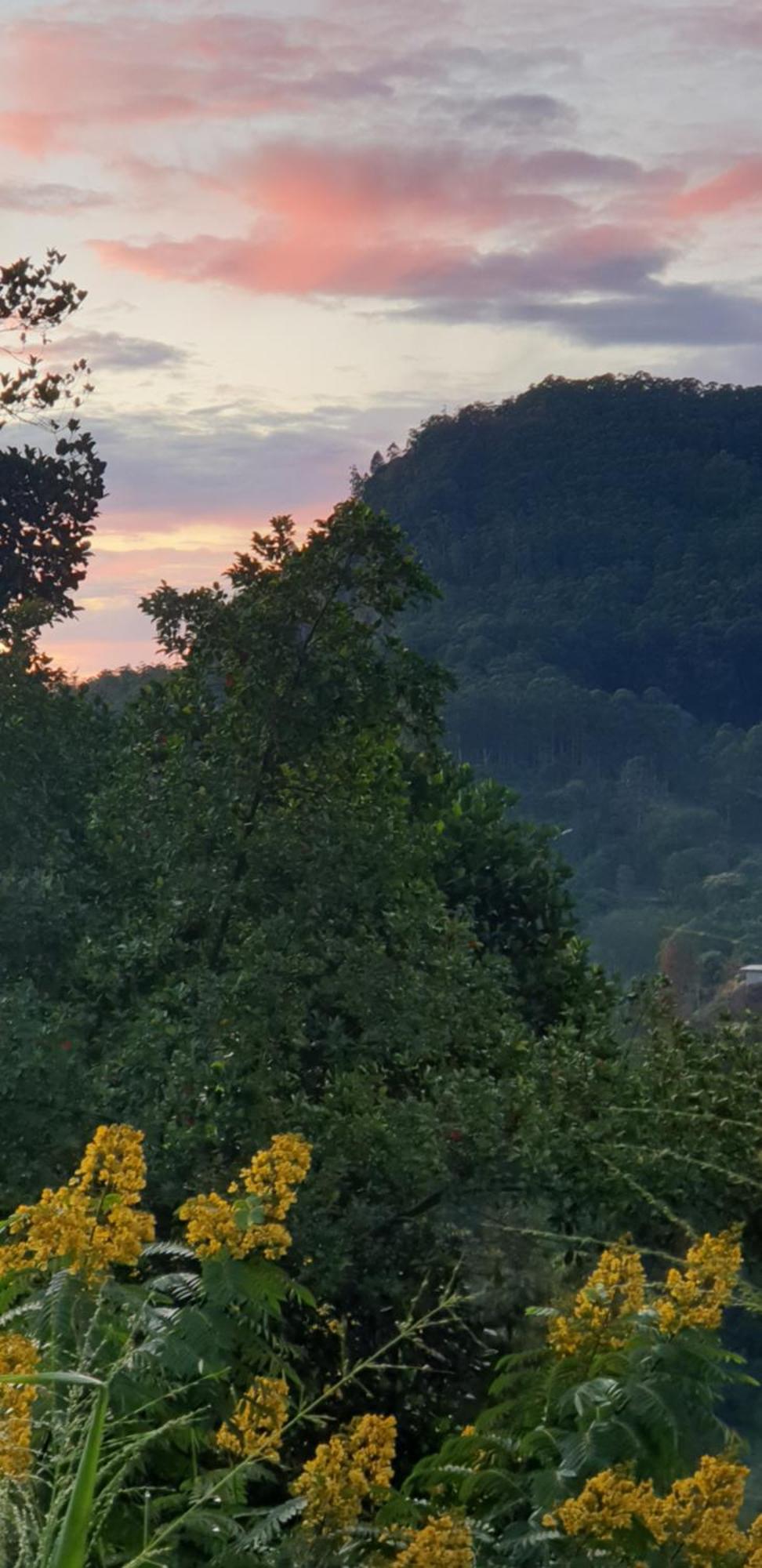 Himansa Homestay Ella Esterno foto